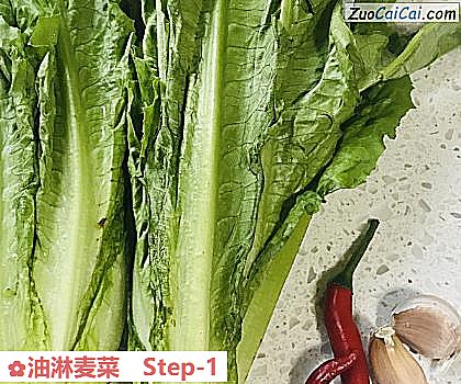 油淋麦菜做法第一步骤