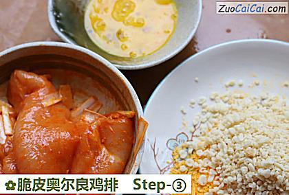 脆皮奥尔良鸡排做法第三步骤