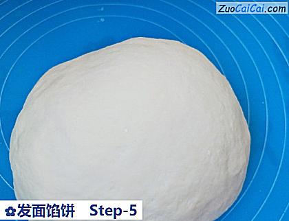 发面馅饼做法第五步骤