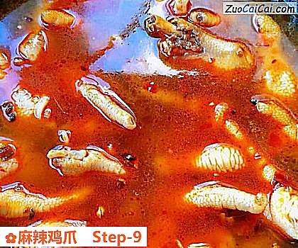 麻辣鸡爪做法第九步骤