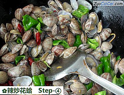 辣炒花蛤成品图4