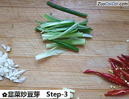 韭菜炒豆芽做法第三步骤