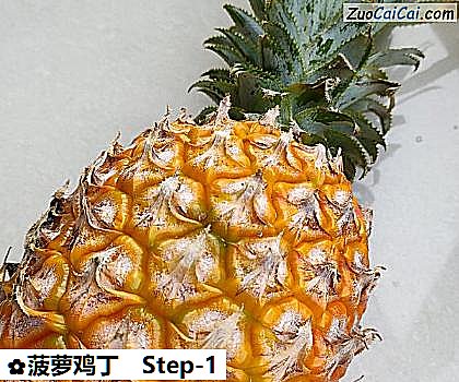菠萝鸡丁做法第一步骤