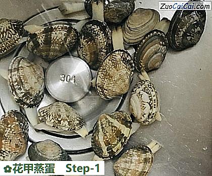 花甲蒸蛋做法第一步骤