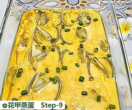 花甲蒸蛋做法第九步骤