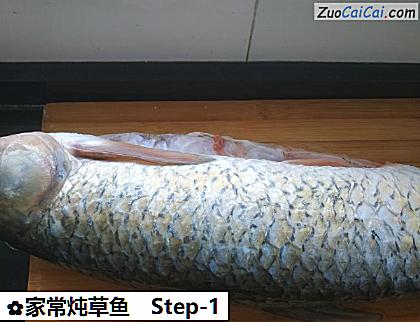 家常炖草鱼做法第一步骤