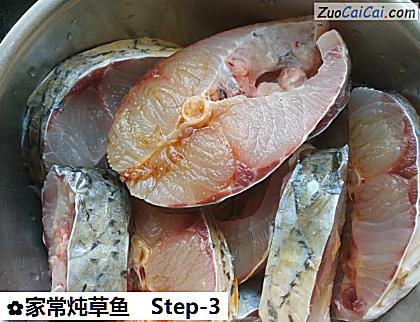 家常炖草鱼做法第三步骤