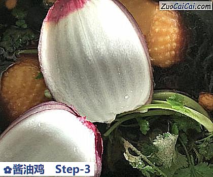 酱油鸡做法第三步骤