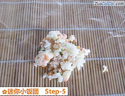 迷你小饭团做法第五步骤