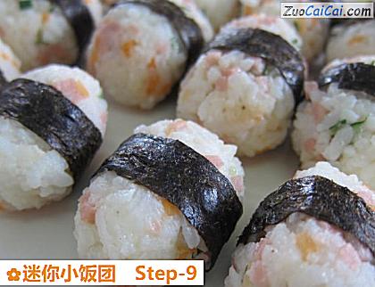 迷你小饭团做法第九步骤