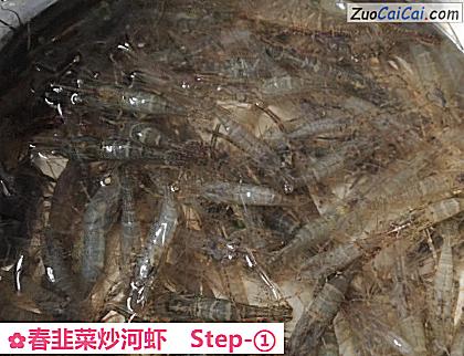 春韭菜炒河虾做法第一步骤