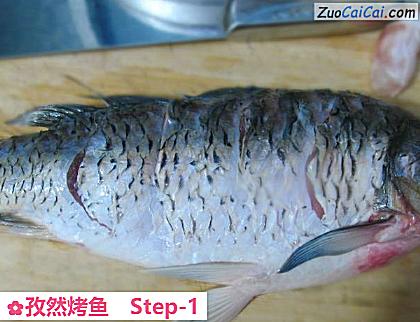孜然烤鱼做法第一步骤