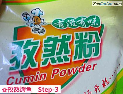 孜然烤鱼做法第三步骤