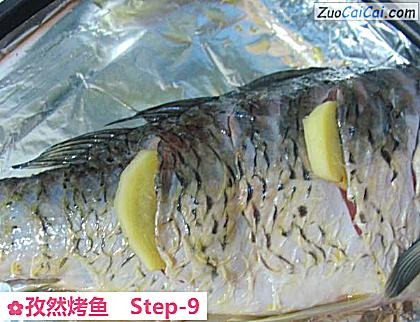 孜然烤鱼做法第九步骤
