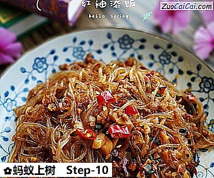 蚂蚁上树做法第十步骤