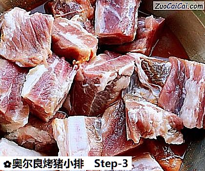 奥尔良烤猪小排做法第三步骤