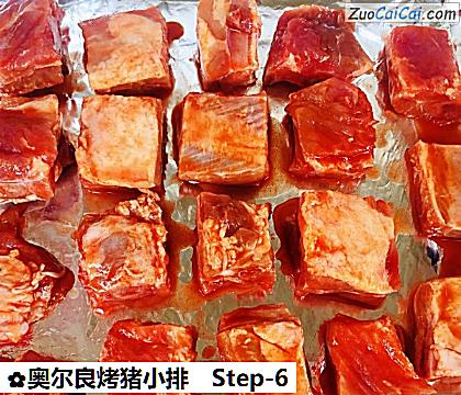 奥尔良烤猪小排做法第六步骤