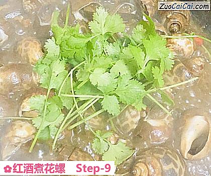红酒煮花螺做法第九步骤