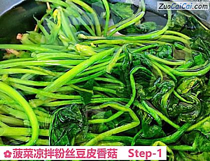 菠菜凉拌粉丝豆皮香菇做法第一步骤