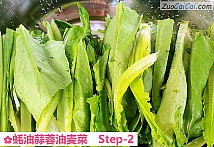 蚝油蒜蓉油麦菜做法第二步骤