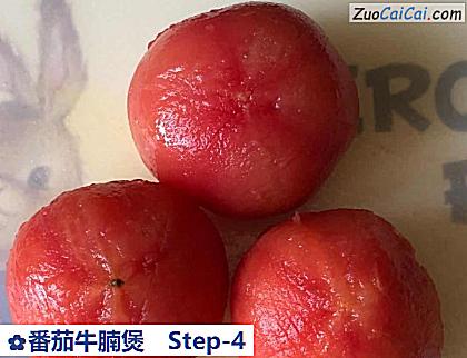 番茄牛腩煲做法第四步骤