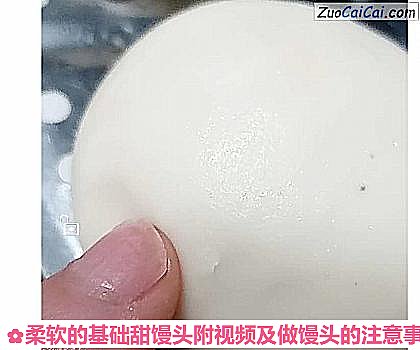 柔软的基础甜馒头附视频及做馒头的注意事项做法第十九步骤