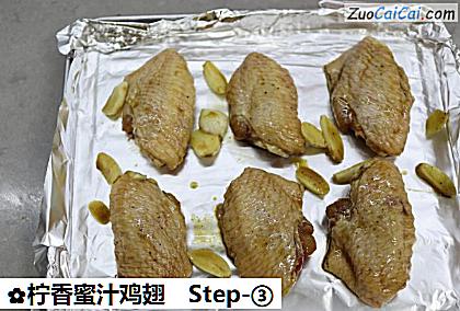 柠香蜜汁鸡翅做法第三步骤