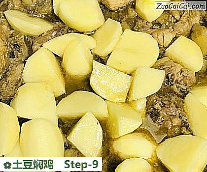 土豆焖鸡做法第九步骤