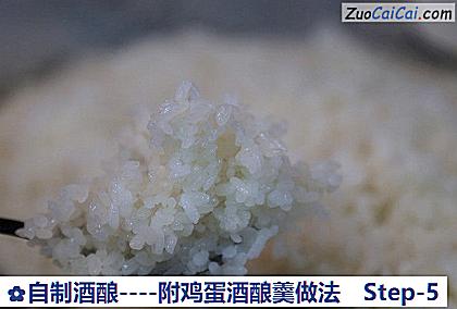 自制酒酿做法第五步骤