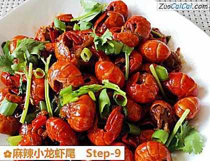 麻辣小龙虾尾做法第九步骤