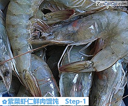 紫菜虾仁鲜肉馄饨做法第一步骤