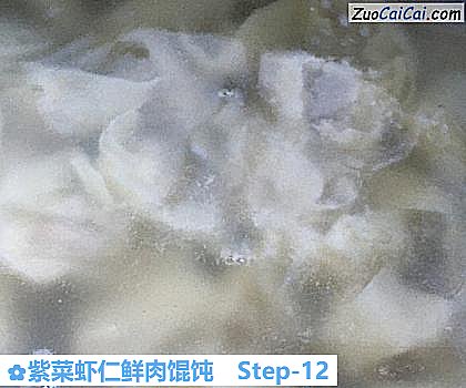 紫菜虾仁鲜肉馄饨做法第十二步骤