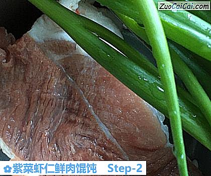 紫菜虾仁鲜肉馄饨做法第二步骤