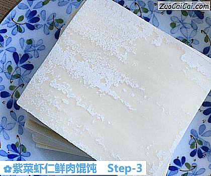 紫菜虾仁鲜肉馄饨做法第三步骤