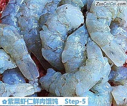 紫菜虾仁鲜肉馄饨做法第五步骤