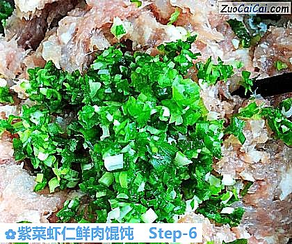 紫菜虾仁鲜肉馄饨做法第六步骤