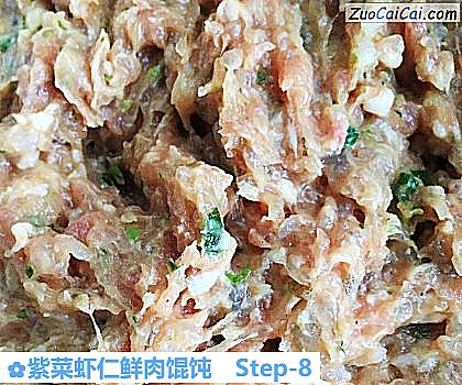 紫菜虾仁鲜肉馄饨做法第八步骤