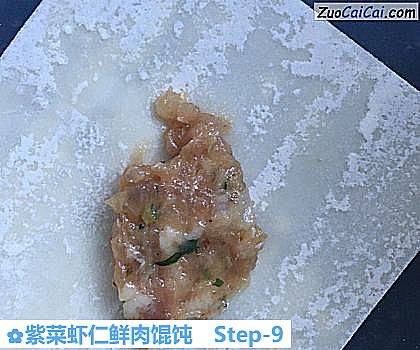 紫菜虾仁鲜肉馄饨做法第九步骤