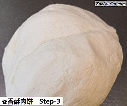 香酥肉饼做法第三步骤