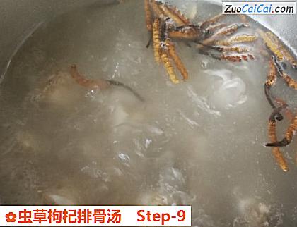虫草枸杞排骨汤做法第九步骤