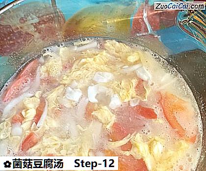 菌菇豆腐汤做法第十二步骤