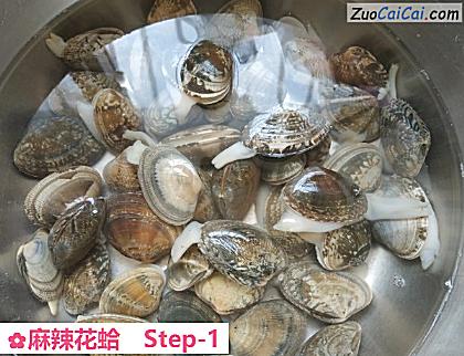 麻辣花蛤做法第一步骤