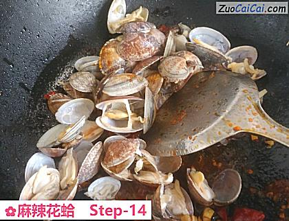 麻辣花蛤做法第十四步骤