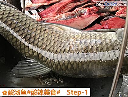 酸汤鱼做法第一步骤
