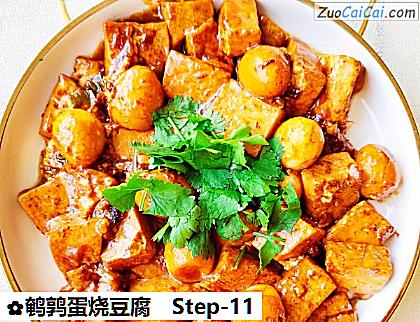 鹌鹑蛋烧豆腐做法第十一步骤