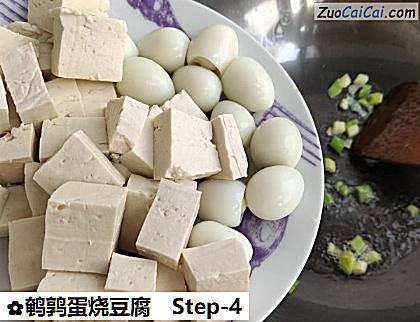 鹌鹑蛋烧豆腐做法第四步骤