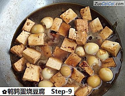 鹌鹑蛋烧豆腐做法第九步骤