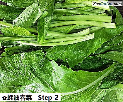 蚝油春菜做法第二步骤
