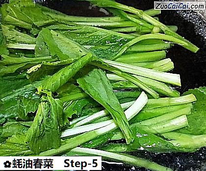 蚝油春菜做法第五步骤