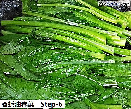 蚝油春菜做法第六步骤